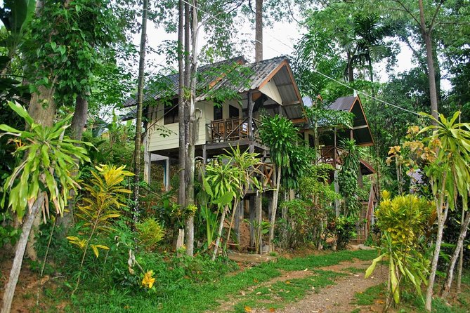 1 Day Khao Sok Jungle Safari and 2 Days Cheow Lan Lake Explorer from Krabi - Two Days on Cheow Lan: Boat Tours, Caves, Swimming, and Wildlife on Shore