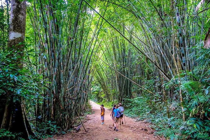 1 Day Khao Sok Jungle Safari and 2 Days Cheow Lan Lake Explorer from Krabi - Price and Logistics: Is $418.09 Worth It?