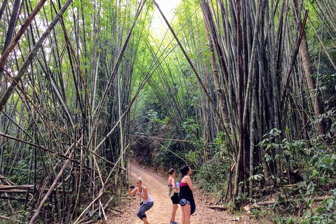 2-Day Khao Sok Jungle Safari from Krabi - Lunch, Return to Krabi, and How to End the Trip Smoothly