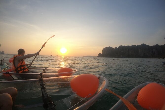 2-Hour Clear Kayak Illuminated Night Tour in Krabi - Wildlife Odds: Silverfish, Sea Creatures, and the Plankton Moment
