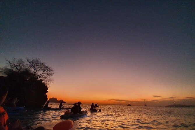 2-Hour Clear Kayak Illuminated Night Tour in Krabi - Price and Value: What $74.60 Really Buys You