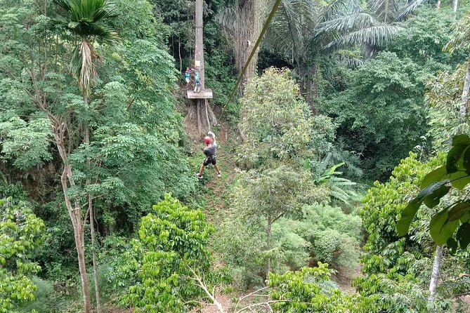 2 Hrs Zipline + ATV Riding 40 Minutes in Krabi - Ziplining above the forest: limestone scenery, speed, and real-world timing