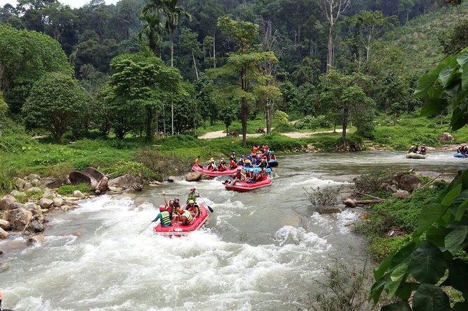 7km White Water Rafting Adventure Tour From Krabi - What You’re Paying for on the Krabi 7km Rafting + Monkey Cave Temple Tour