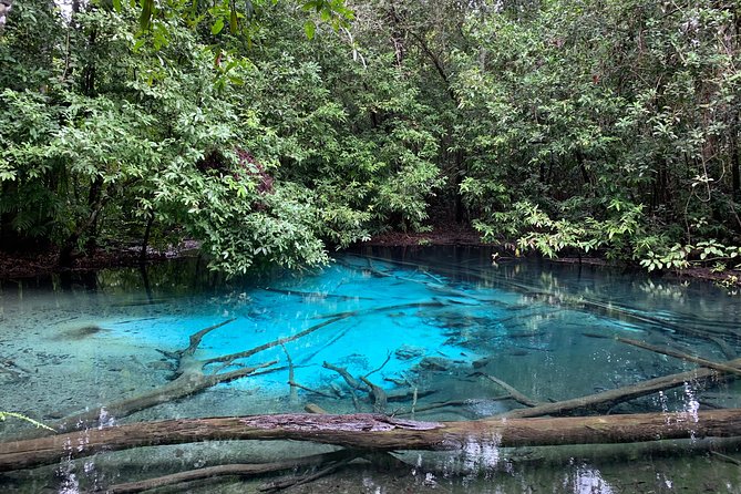 All day Krabi Jungle Tour (Hot Spring Water, Emerald Pool, Tiger Cave Temple) - Transport Reality Check: Comfortable Usually, Watch for Car Sickness