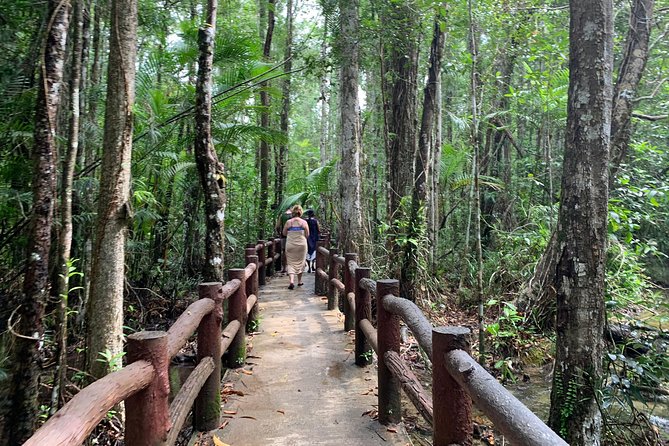 All day Krabi Jungle Tour (Hot Spring Water, Emerald Pool, Tiger Cave Temple) - Emerald Pool (Sa Morakot): The Rainforest Walk and the Swim Moment