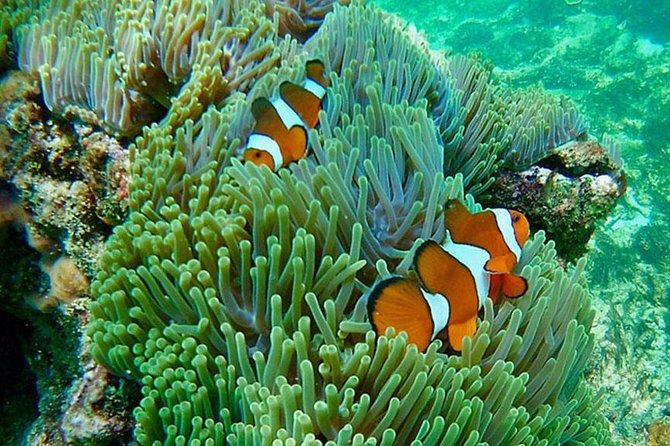 Amazing Krabi 7 Islands One Day Snorkeling Tour By Big Longtail Boat - Practical Tips That Keep Your Day Comfortable