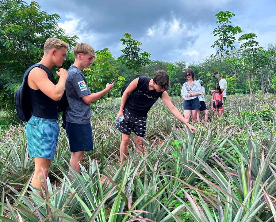 Ao Nang: Crystal Pool Kayaking, ATV, and Pineapple Farm Tour - Timing, pacing, and why the day can feel uneven