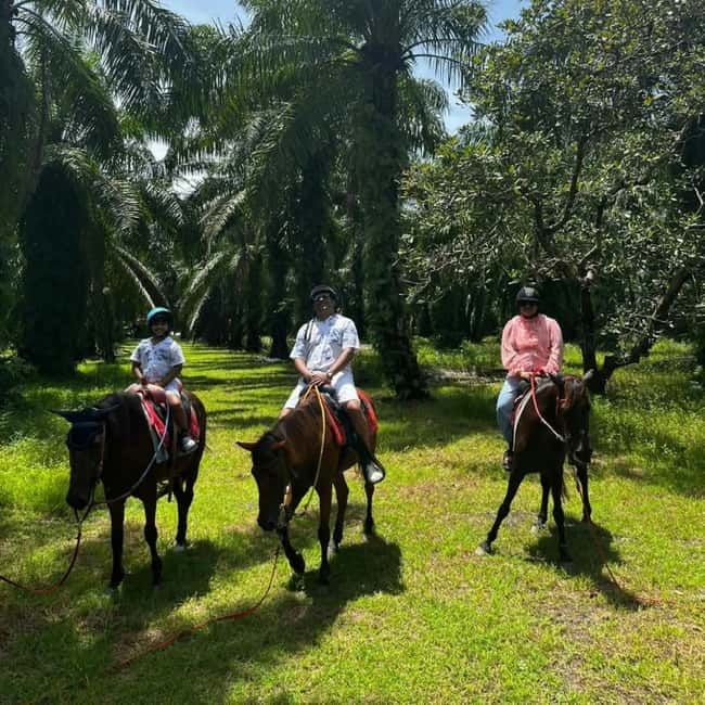 Ao Nang: Horse Riding Tour and kayaking clongrood - How the 3-Hour Schedule Actually Feels (Horse, Lagoon, and Back to Ao Nang)