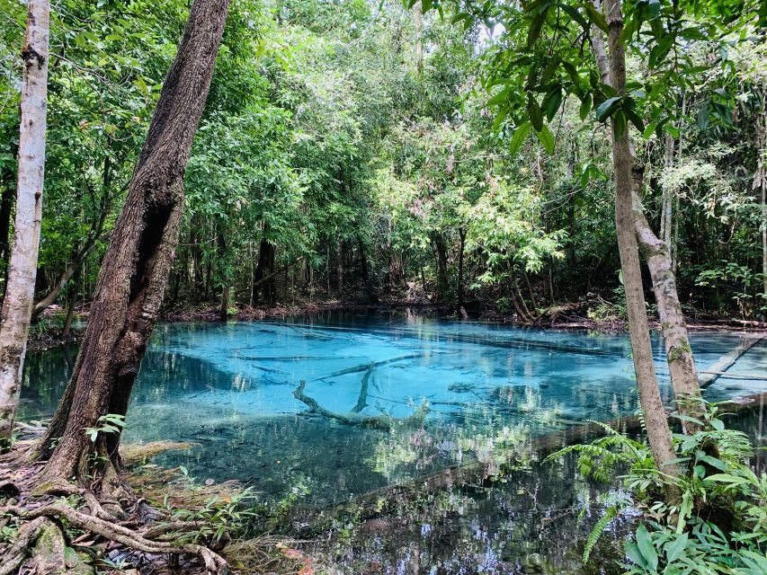 Ao Nang: Hot Spring, Emerald Pool & Tiger Cave Temple Tour - Lunch Stop: Thai Set Meal With Real Food Choices