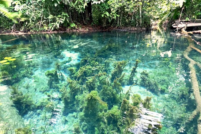 Ao Nang Kayaking at Klong Rud with Hotel Transfer - From the pier to Khlong Nam Sai: how the kayaking route feels