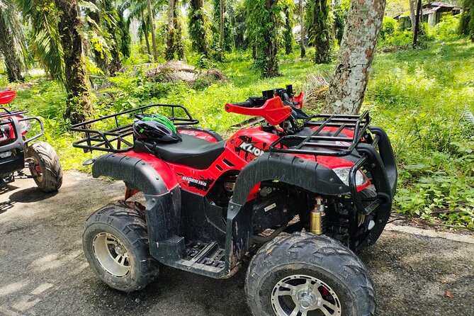 ATV Jungle Adventure in Krabi with Roundtrip Transfer - Safety and Trail Difficulty: Beginner-Friendly, Not Risk-Free