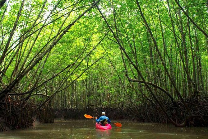 Deep Mangrove and Canyon Kayak Tour in Krabi - Quick hits
