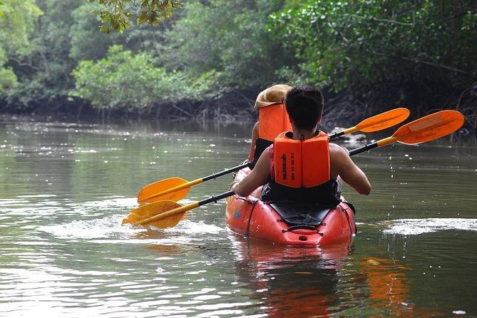Deep Mangrove and Canyon Kayak Tour in Krabi - Entering the Ecosystems: Lagoons, Canyons, and Tight Passages