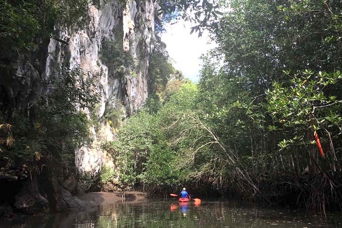 Deep Mangrove and Canyon Kayak Tour in Krabi - Pickup, Gear, and the Start: Getting on the Water Smoothly