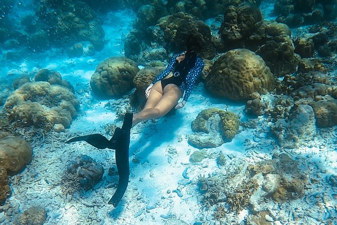 Discover Freediving in Koh Lanta, Thailand - Key highlights you should know before booking
