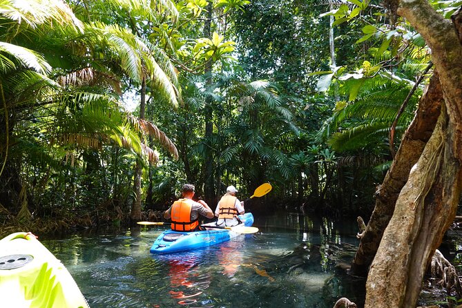 Dragon Crest Sunrise Hike and Klong Root Kayaking Private Tour - Private Tour Flow: Guides, Pace, and Why Max 6 Matters