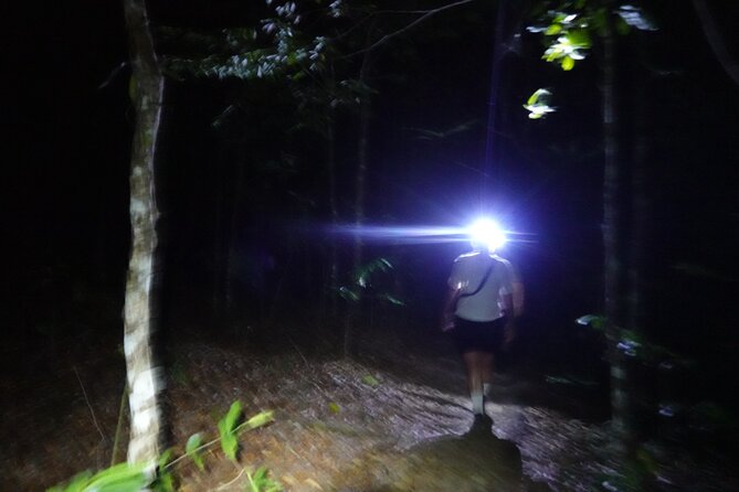 Dragon Crest Sunrise Hike and Klong Root Kayaking Private Tour - Price and Value: What $81 Covers (and What You’ll Still Pay For)