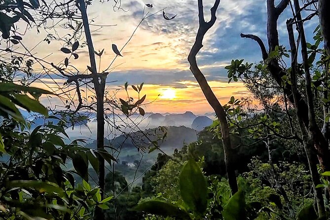 Dragon Crest Sunrise Hike and Klong Root Kayaking Private Tour - Headlight Morning Logistics: What to Wear and How to Prep