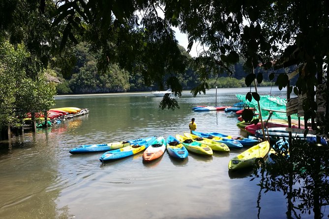 Early bird kayak adventure at AO Thalane - Price and value: is $64.80 worth it?