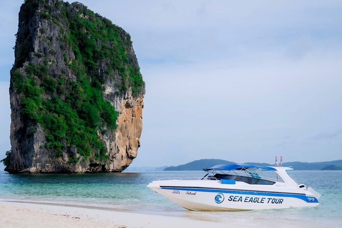 Early Bird Phi Phi 4 Islands by Speedboat 2 Trips in 1 Day - Snorkeling at Loh Samah Bay: where the reef time is the point