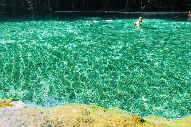 Emerald Pool: Jungle Tour, Private Full Day with Lunch - Private logistics in Krabi: minivan pickup, smart timing, and a smoother day