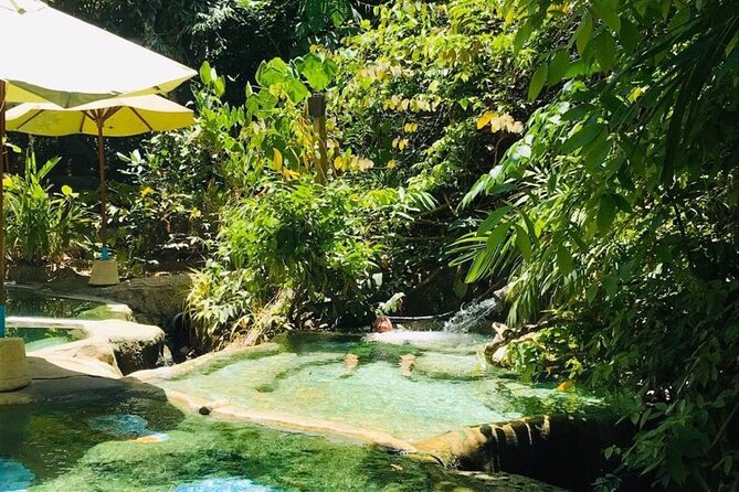 Emerald Pool: Jungle Tour, Private Full Day with Lunch - Price and value: is $170-ish worth it for this day?