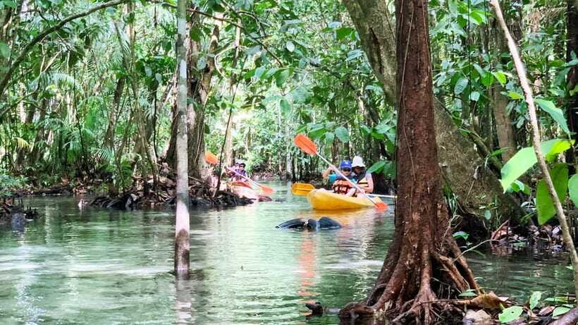 From Ao Nang: Kayaking at Klong Rud with Hotel Transfers - Klong Nam Sai swim: the clearest payoff of the day