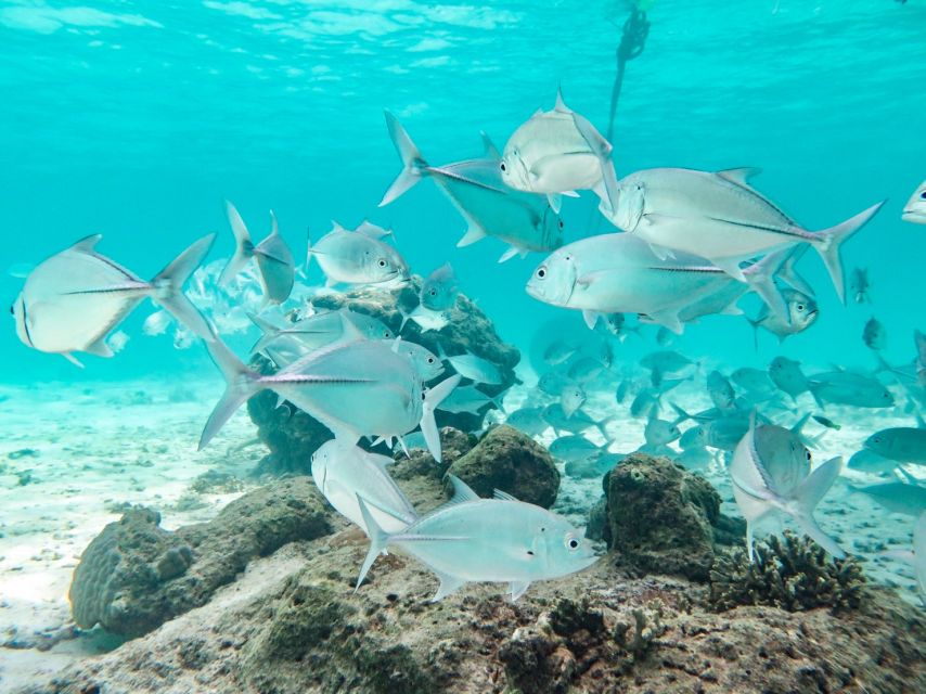 From Ao Nang: Similan Islands Boat Trip with Transfer & Food - Island Stop 2: Paya Island Beach Time (Real Rest Included)
