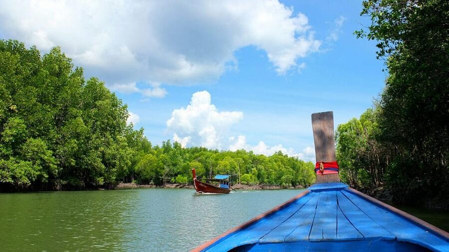 From Ko Lanta: Mangrove Eco-Excursion by Longtail Boat - Tung Yee Peng village stop: walk, views, and a guided rhythm