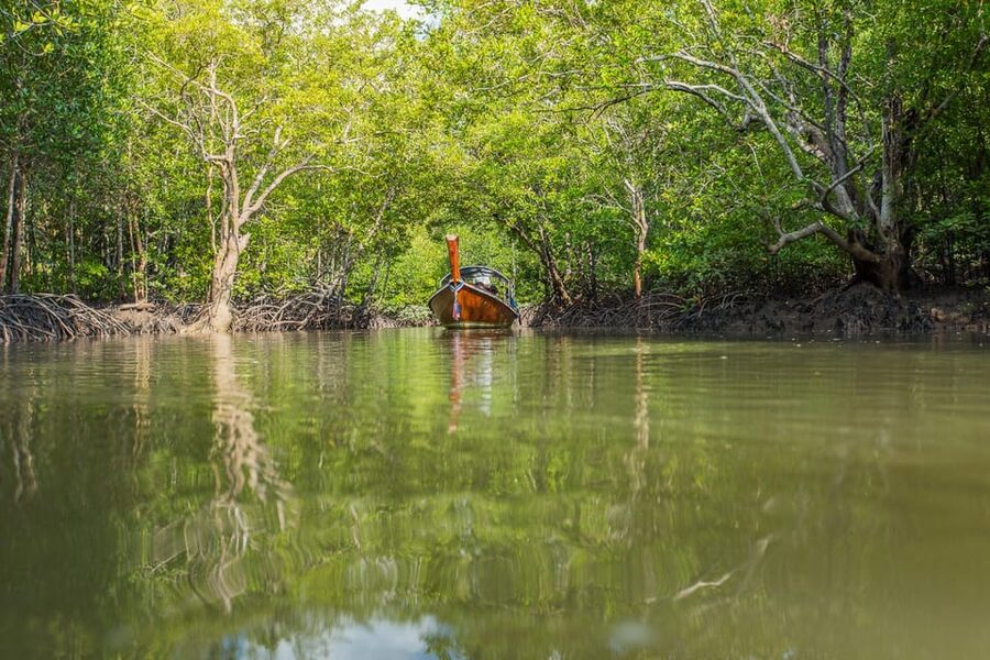 From Ko Lanta: Mangrove Eco-Excursion by Longtail Boat - Fish farm visit: the conservation angle in real life