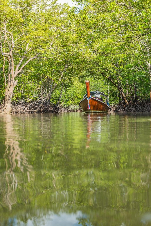 From Ko Lanta: Mangrove Eco-Excursion by Longtail Boat - Price and value: is $28 worth it for 4 hours?