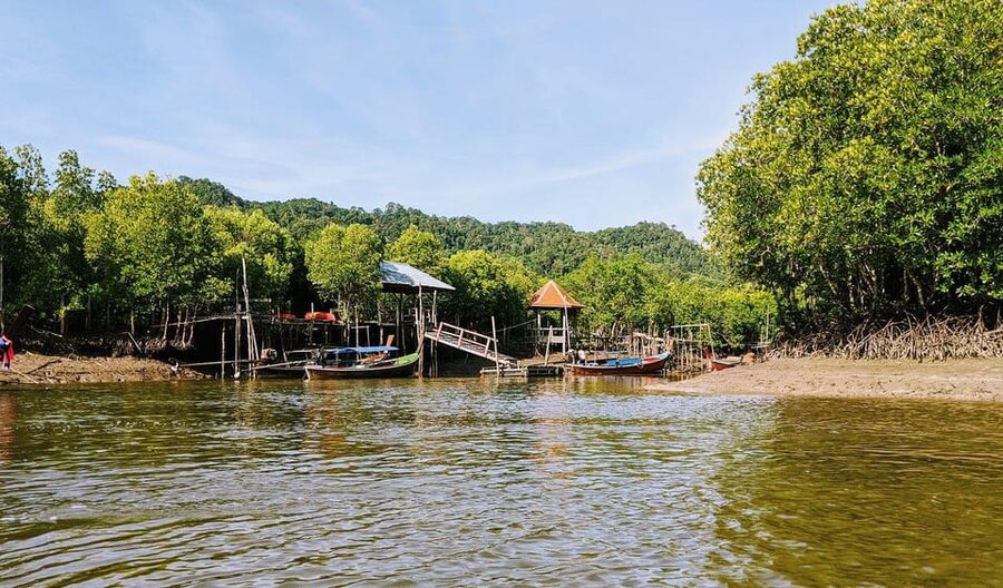 From Ko Lanta: Mangrove Eco-Excursion by Longtail Boat - Pickup on Ko Lanta: timing that can make or break it