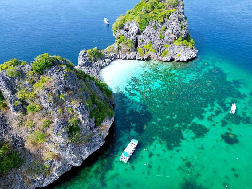 From Koh Lanta: Koh Haa & Koh Rok Snorkel Tour by Speedboat - Key things you’ll notice on this tour