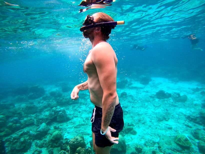 From Koh Lanta: Koh Haa & Koh Rok Snorkel Tour by Speedboat - Koh Haa Five Islands: coral, fish, and a short but sweet snorkel