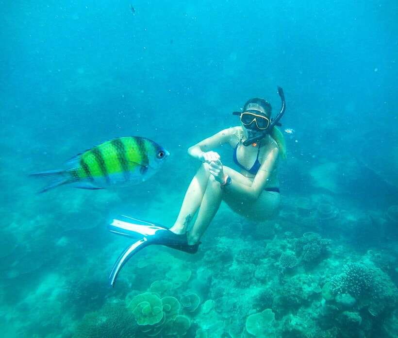 From Koh Lanta: Koh Haa & Koh Rok Snorkel Tour by Speedboat - Koh Rok Noi finale: Nemo territory and reef condition