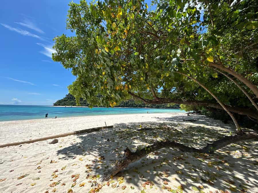 From Koh Lanta: Koh Rok and Koh Ha Day Tour-Queen of Andaman - The Boat Ride Reality: 45-Minute Speeds, Crew Safety, and Comfort