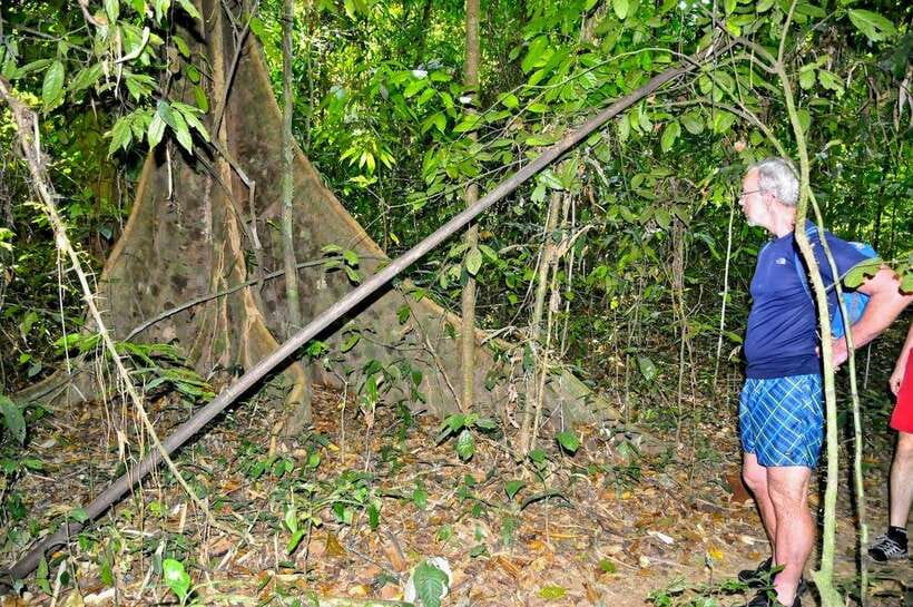 From Krabi: 1-Day Khao Sok & 2-Day Cheow Lan Lake Safari - Key moments that make this safari worth it