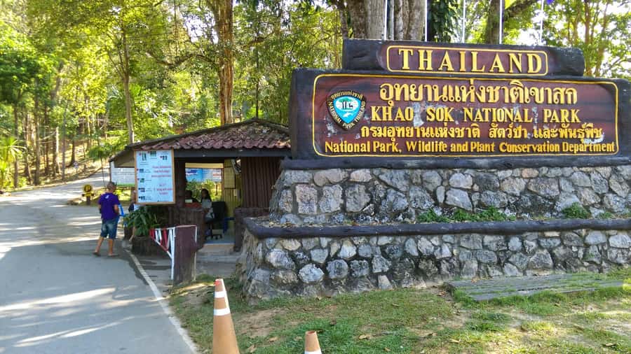 From Krabi: 2-Day Khao Sok Jungle Safari with Overnight Stay - Lunch, the Sok River area, and your overnight bungalow expectations