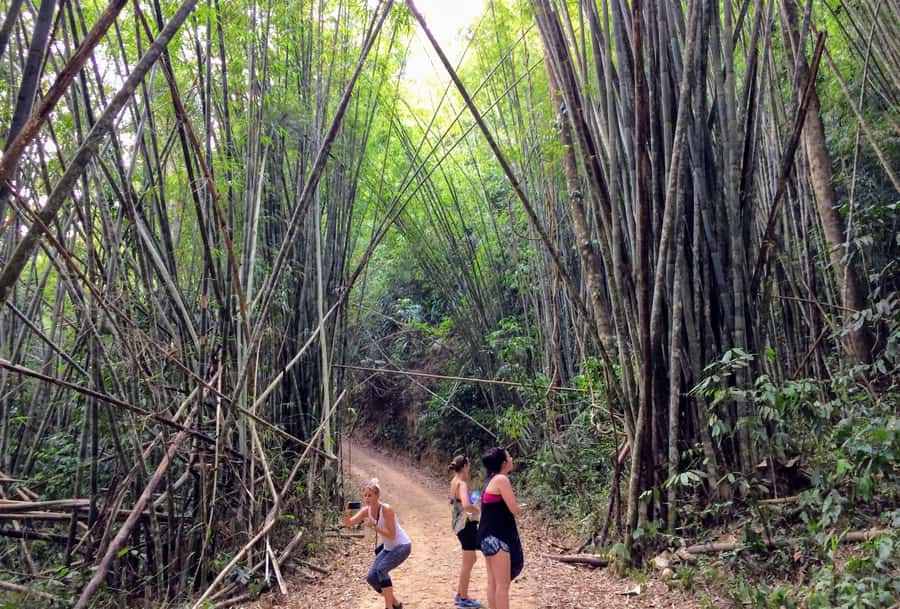 From Krabi: 2-Day Khao Sok Jungle Safari with Overnight Stay - The rainforest trek: how to make 3 hours feel worth every step
