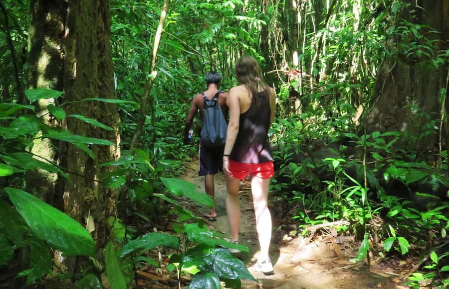 From Krabi: 2-Day Khao Sok Jungle Safari with Overnight Stay - Packing and jungle rules: what to bring (and what will get you stopped)