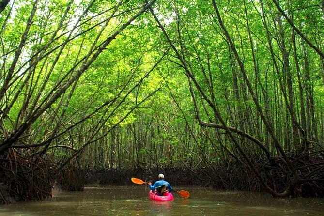 From Krabi: Great Cheow Lan Lake Day Trip with Lunch at PhuTawan - Diamond Cave and rainforest hiking: active stops with big payoffs