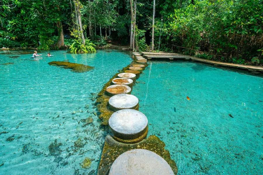 From Krabi: Khao Sok Cheow Lan Lake Day Trip - Who this tour fits best (and who should skip it)