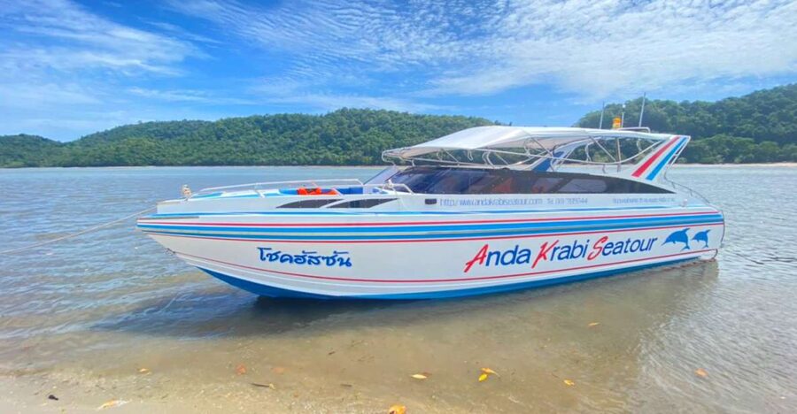 From Krabi: Phi Phi Island Full-Day Private Speed Boat Tour - Key things to know before you go