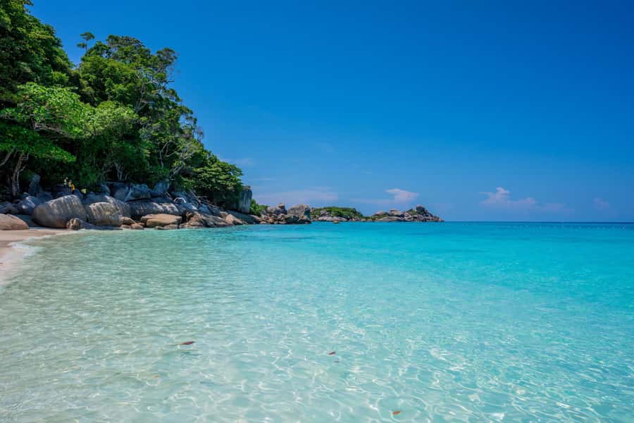 From Krabi: Similan Islands Day Trip by Speedboat - Snorkeling at Koh Payu: how beginners can enjoy it