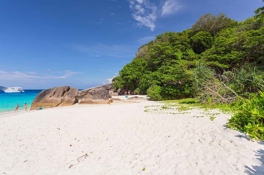 From Krabi: Similan Islands Snorkeling Trip by Speedboat - Snorkeling reality check: dolphins, sea turtles, and the reef’s condition