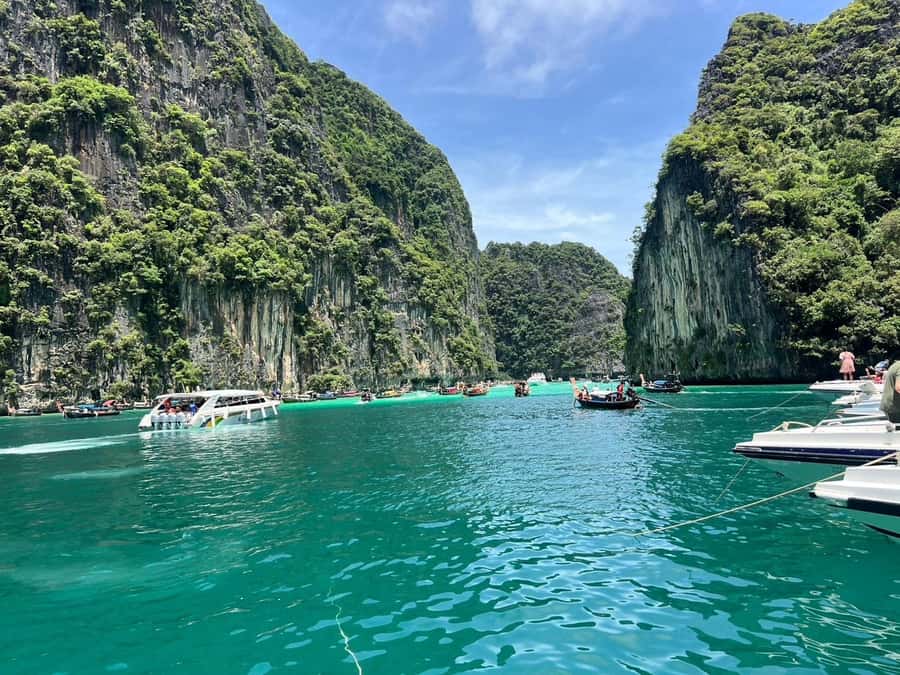 From Phi Phi : One Day Trip by speedboat with Lunch - Monkey Beach: Wild Monkeys, Photo Ops, and Common Sense