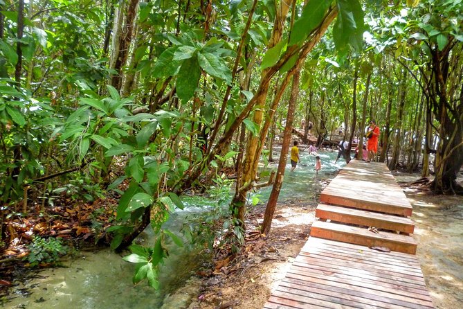 Full-Day Jungle Tour Including Tiger Cave Temple, Crystal Pool and Krabi Hot Springs - Lunch, Drinks, and What You’ll Actually Eat