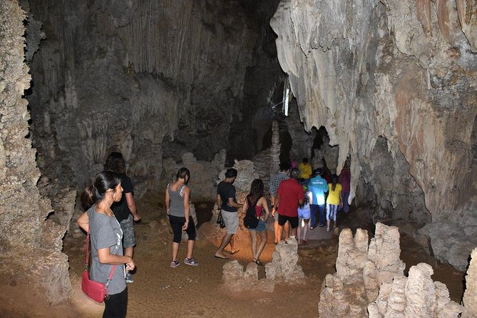 Full-Day Tour to Cheow Lan Lake in Khao Sok National Park from Krabi - Khao Sok rainforest hike + cave visit: short, sweaty, and very real