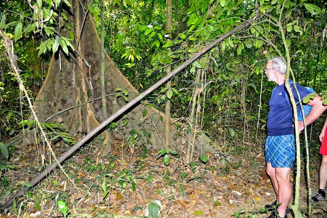 Full-Day Tour to Cheow Lan Lake in Khao Sok National Park from Krabi - Timing and energy: why this feels like a full-day squeeze