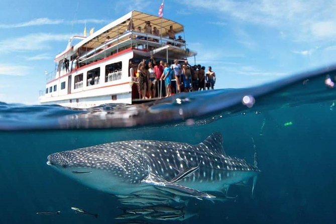 Fun Diving Safari Day Trip From Koh Lanta - Certified Divers - Key highlights you’ll feel immediately